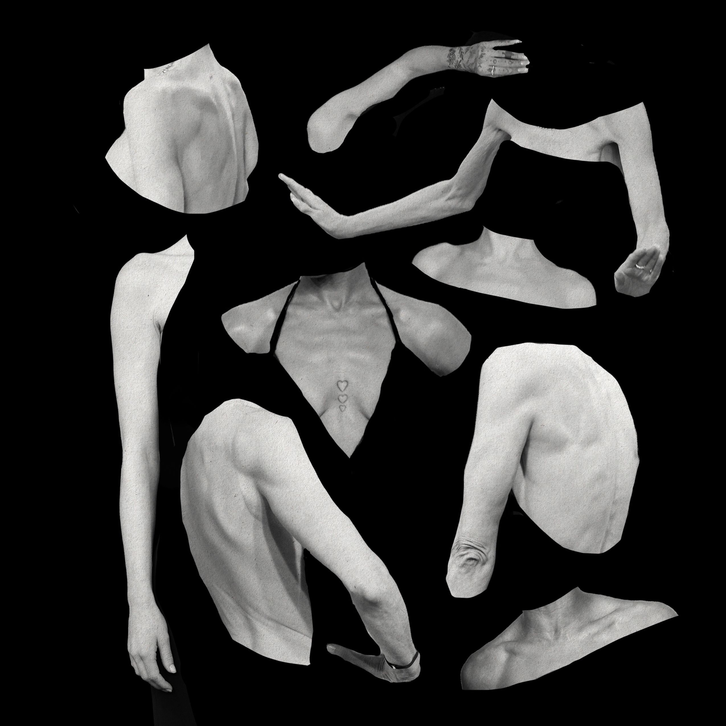 A collage of prominent clavicles shoulder blades and ribs